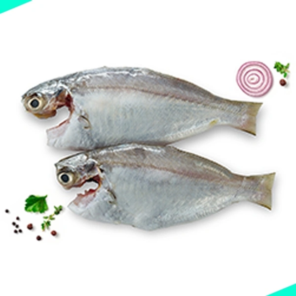 പരവ | White Fish | False Trevally | Parava  [Cleaned] - 1KG
