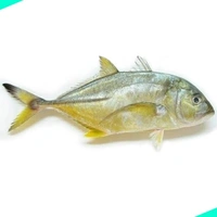 വേളാപാര | Trevally | Para - 1KG