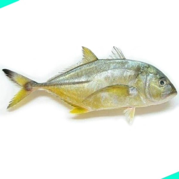 വേളാപാര | Trevally | Para - 1KG