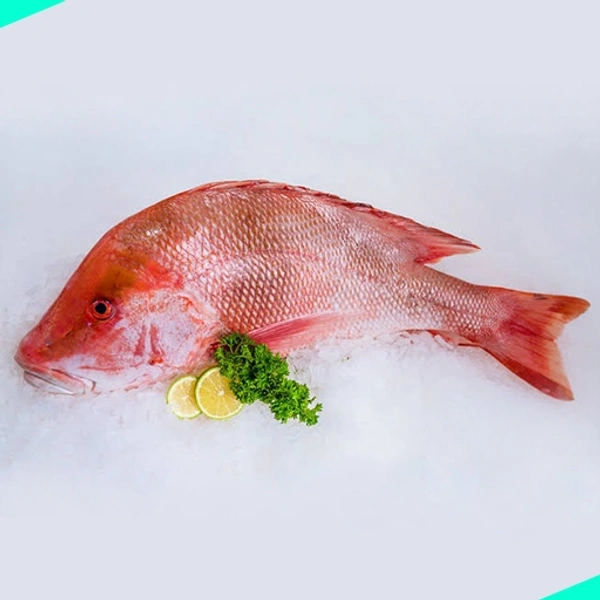 വെളമീൻ | Emperor Fish | Velameen (Red) - 1KG
