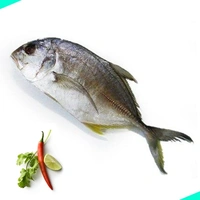 പാര (ചെറുത്) | Trevally (small) | Para [Whole] - 1KG