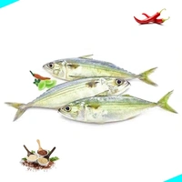 അയല | Indian Mackeral | Ayala  [Whole] - 1KG
