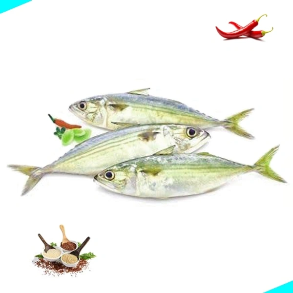 അയല | Indian Mackeral | Ayala  [Whole] - 1KG