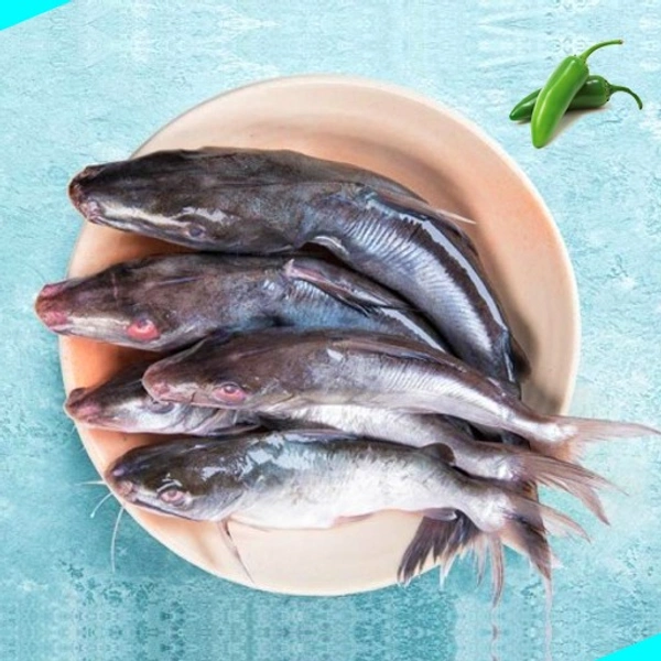 ഏട്ട കൂരി (ചെറുത്) | തേട് | Marine Cat Fish (Small) | Etta [Whole] - 1KG