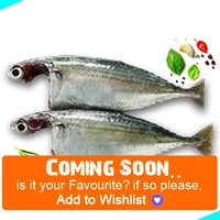 കണ്ണൻ കൊഴിയാള | Finletted Mackeral | Kozhiyala  [Cleaned] - 500g