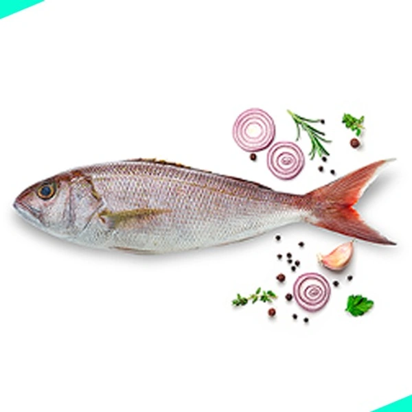 ചേമീൻ | Red Snapper  [Whole] - 1KG