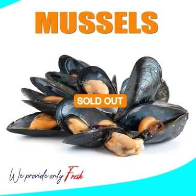 Mussels | Chippi |  ചിപ്പി
