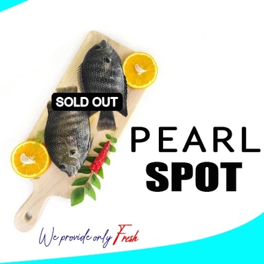 Pearl Spot | Karimeen | കരിമീൻ
