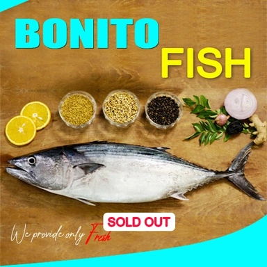 Bonito Fish | നെയ്മീൻ ചൂര