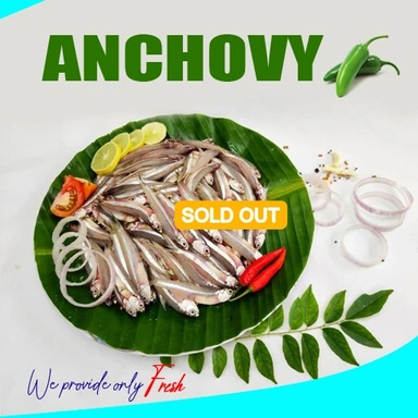 Anchovy | Natholi | നത്തോലി