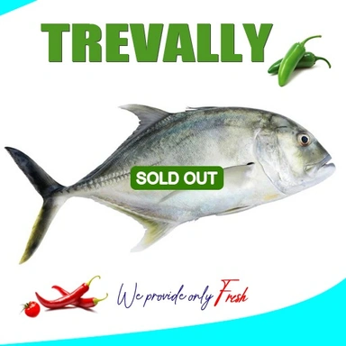 Vatta | Para |Trevally|വറ്റപ്പാര