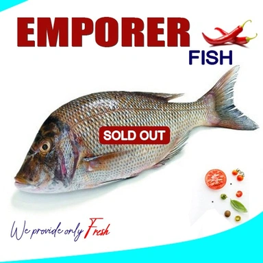 Emporer Fish | Velameen | വെളമീൻ