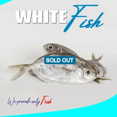 White Fish | Parava | പരവ