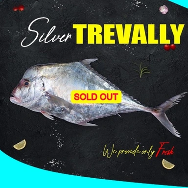 Silver Trevally | കണ്ണാടി വറ്റ