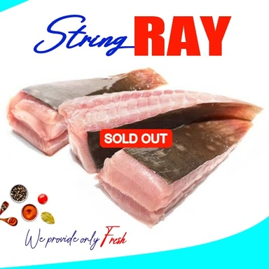 Ray |Stringray |തെരണ്ടി |തെരച്ചി