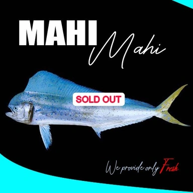 Mahi mahi | പുള്ളിമോത| പാലാമീൻ