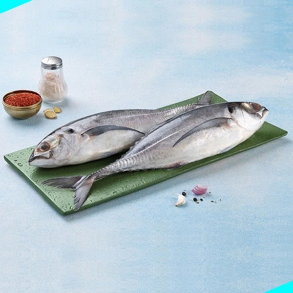 വങ്കട | Horse Mackeral | Vankada [Whole] - 1KG
