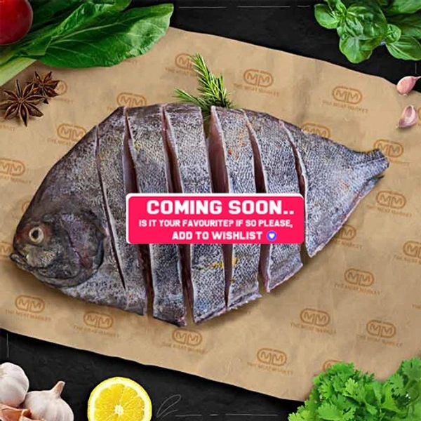 ആവോലി | Pomfret | Avoli  [Fry Cut] - 500g