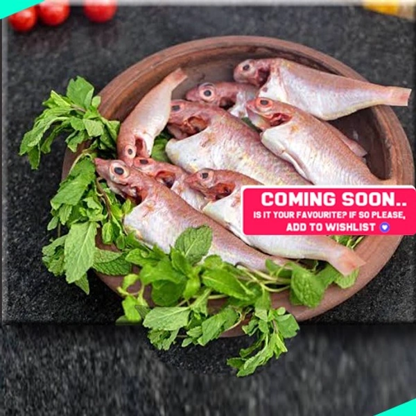 നവര | കിളി | Pink Perch | Navara  [Cleaned] - 500g