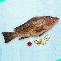കലവ | Grouper | Reef cod | Kalava - 1KG