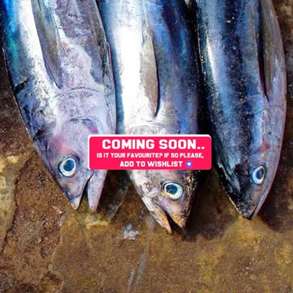 ചൂര | Tuna | Choora - 1KG