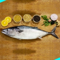 നെയ്മീൻ ചൂര | Bonito Fish | Neymeen Choora - 1KG
