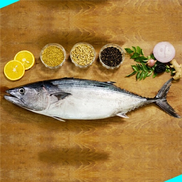 നെയ്മീൻ ചൂര | Bonito Fish | Neymeen Choora - 1KG