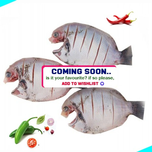 കരിമീൻ | Pearl Spot | Karimeen  [Fry Cut] - 500g
