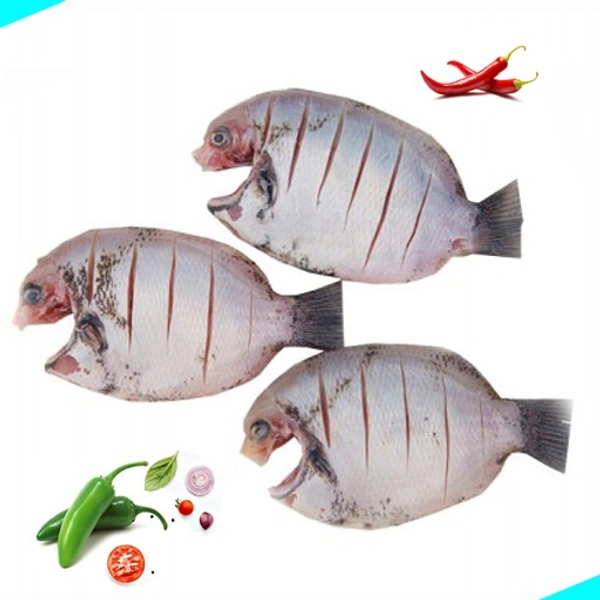 കരിമീൻ | Pearl Spot | Karimeen  [Fry Cut] - 500g
