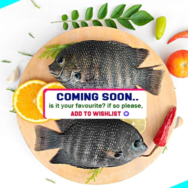 കരിമീൻ | Pearl Spot | Karimeen [Whole] - 1KG