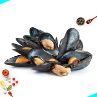 ചിപ്പി | Mussels | Chippi - 50 nos