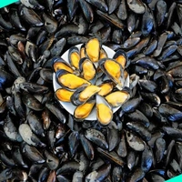 ചിപ്പി | Mussels | Chippi - 50 nos