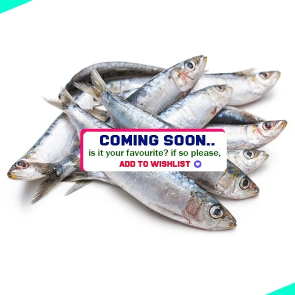 മത്തി | ചാള | sardine [Whole] - 1KG