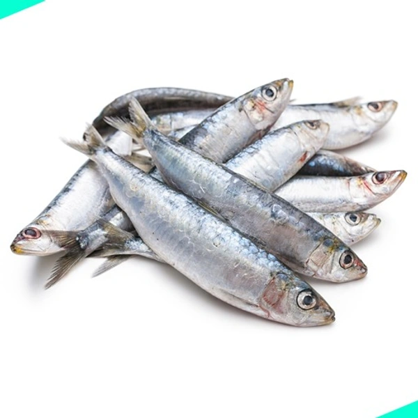 മത്തി | ചാള | sardine [Whole] - 1KG