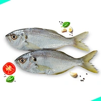 പരവ | White Fish | False Trevally | Parava  [Whole] - 1KG