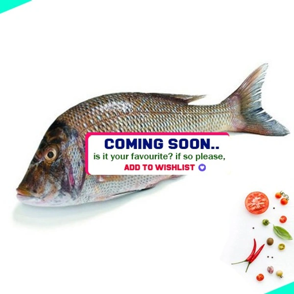വെളമീൻ | Emperor Fish | velameen - 1KG