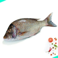 വെളമീൻ | Emperor Fish | velameen - 1KG