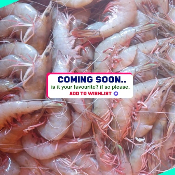 കടൽ കൊഞ്ച് | Prawns | Shrimp  [Non-cleaned] - 5KG