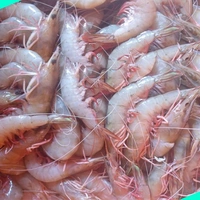 കടൽ കൊഞ്ച് | Prawns | Shrimp  [Non-cleaned] - 5KG
