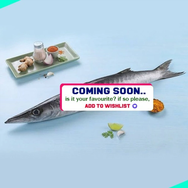 ശീലാവ് | Barracuda | Sheelavu  [[Whole]] - 1KG