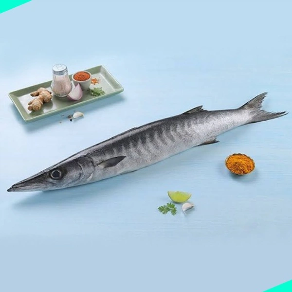ശീലാവ് | Barracuda | Sheelavu  [[Whole]] - 1KG