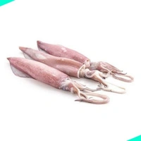 കണവ | കൂന്തൽ | Needle | Squid | Kanava  [Cleaned] - 500g