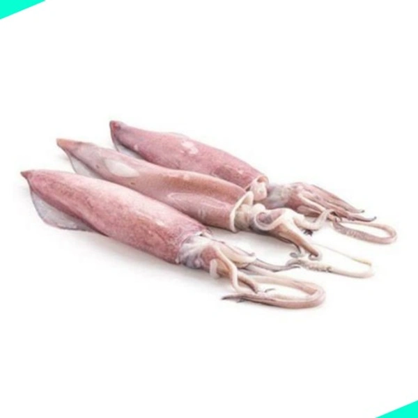 കണവ | കൂന്തൽ | Needle | Squid | Kanava  [Cleaned] - 500g