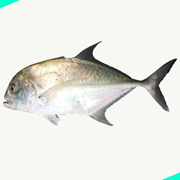 വറ്റപ്പാര | Trevally | Vatta | Para - 500g