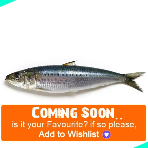 നാടൻ ചാള | നാടൻ മത്തി | Sardine [Whole] - 1KG