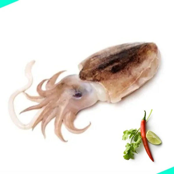 കണവ | Cuttle Fish | Squid | Kanava  [Whole] - 1KG