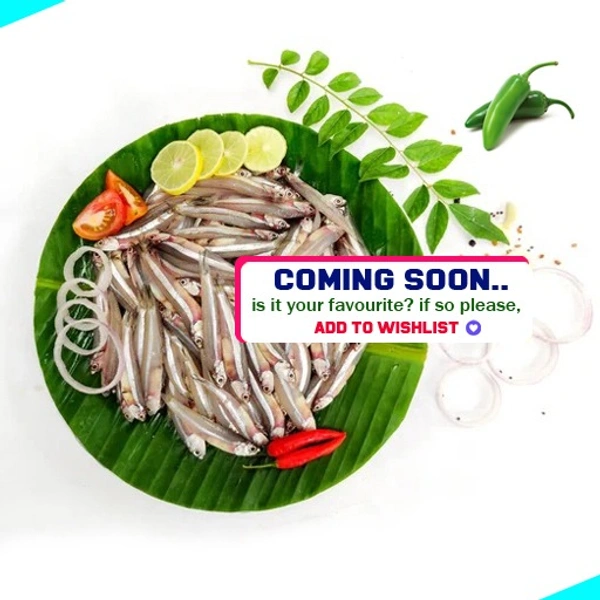 നത്തോലി | Anchovy | Natholi  [Whole] - 1KG