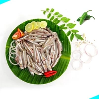 നത്തോലി | Anchovy | Natholi  [Whole] - 1KG