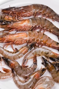 കൊഞ്ച് | കരിങ്കൊഞ്ച് | ചെമ്മീൻ | Prawns [Whole]  - 5KG