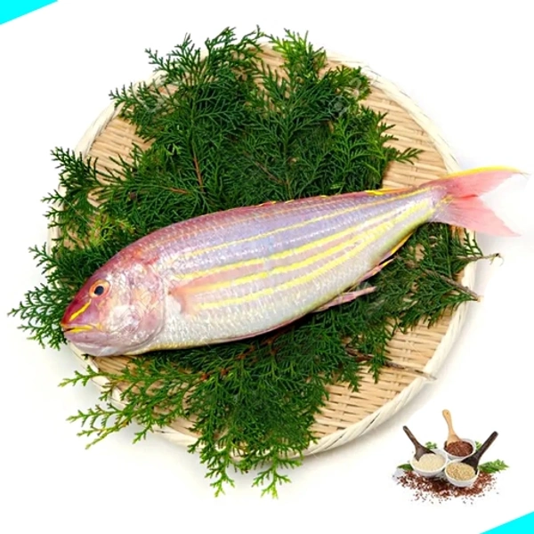 നവര | കിളിമീൻ | Navara | Pink Perch - 5KG
